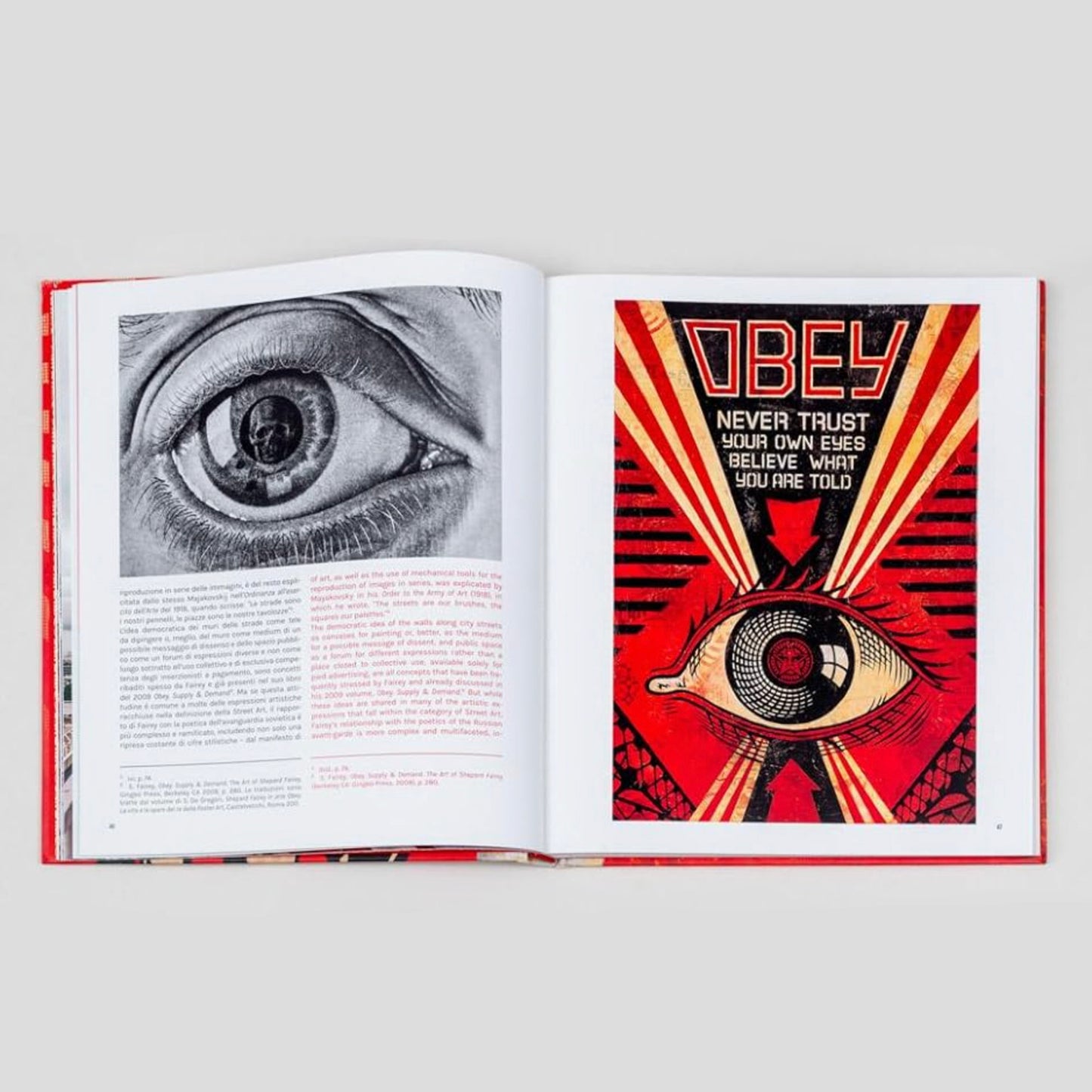 Silvana / Shepard Fairey 3 Decades of Dissent Book