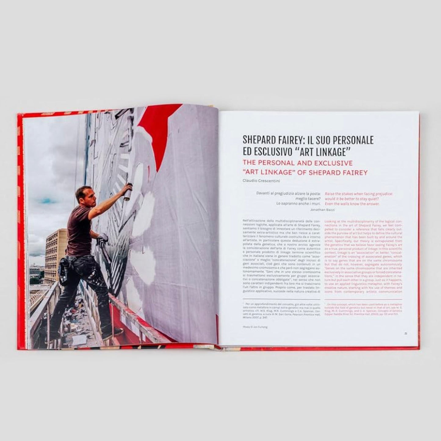 Silvana / Shepard Fairey 3 Decades of Dissent Book
