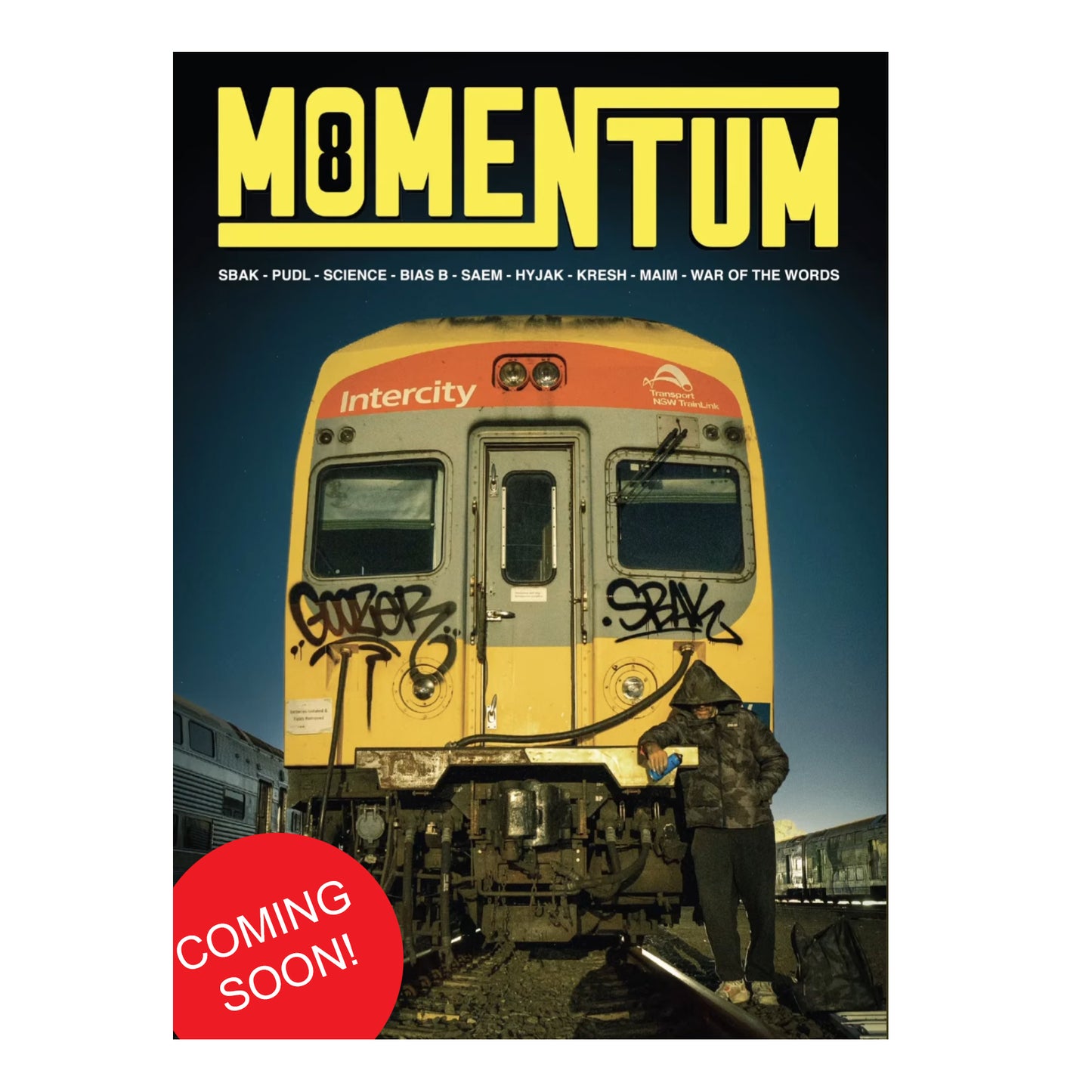 Momentum / Magazine Vol 8