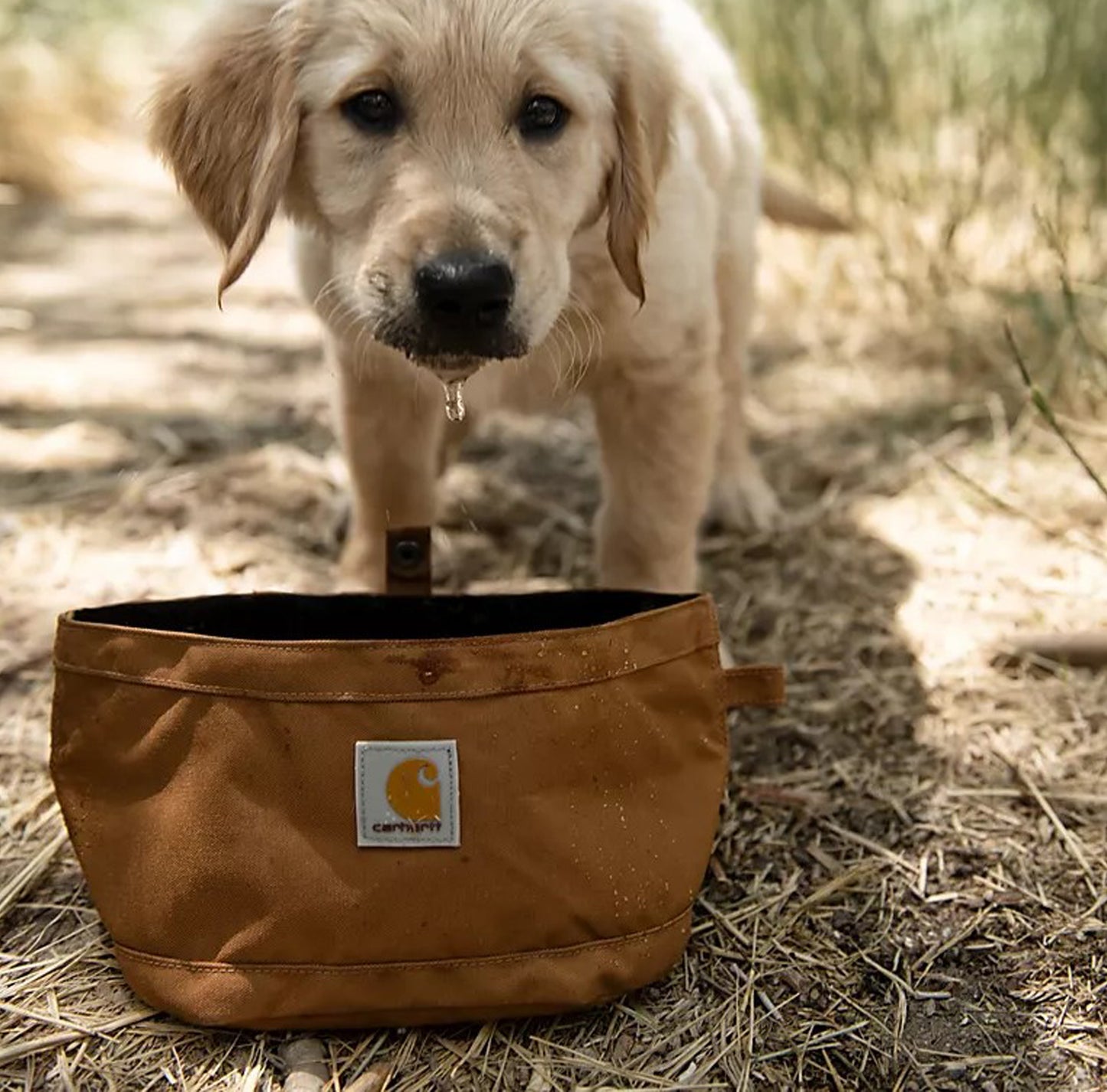 Carhartt / Nylon Duck Travel Dog Bowl